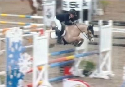 Les om Maiken og Armani på hestesport.no - TOPSPEC CUP